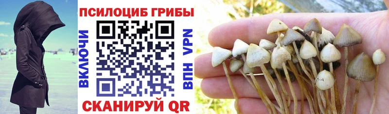 Галлюциногенные грибы прущие грибы  Отрадный 