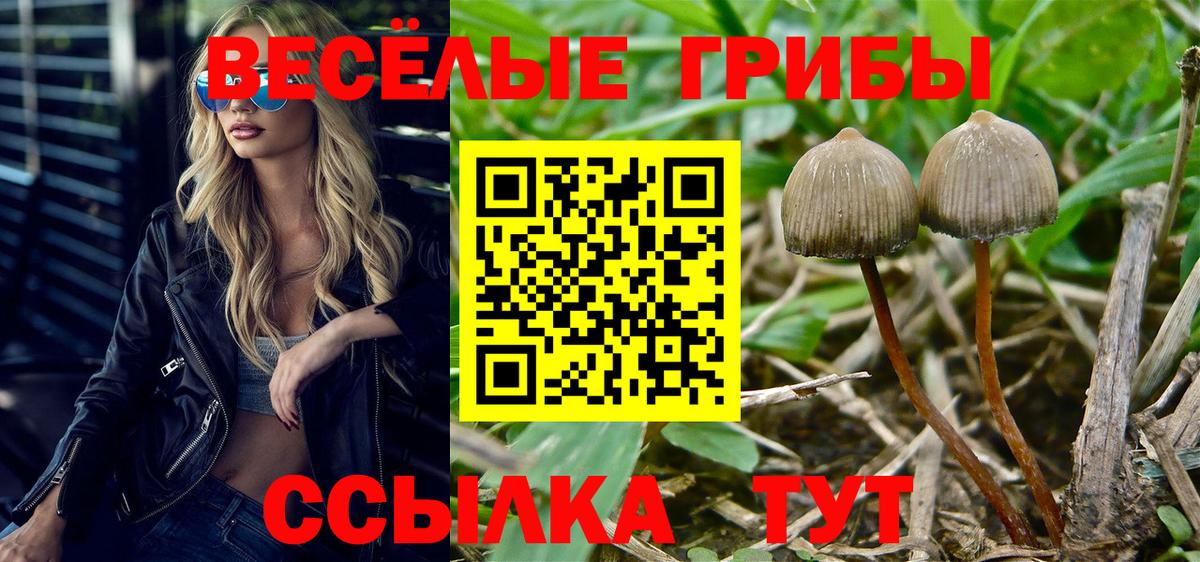 Галлюциногенные грибы мухоморы Отрадный