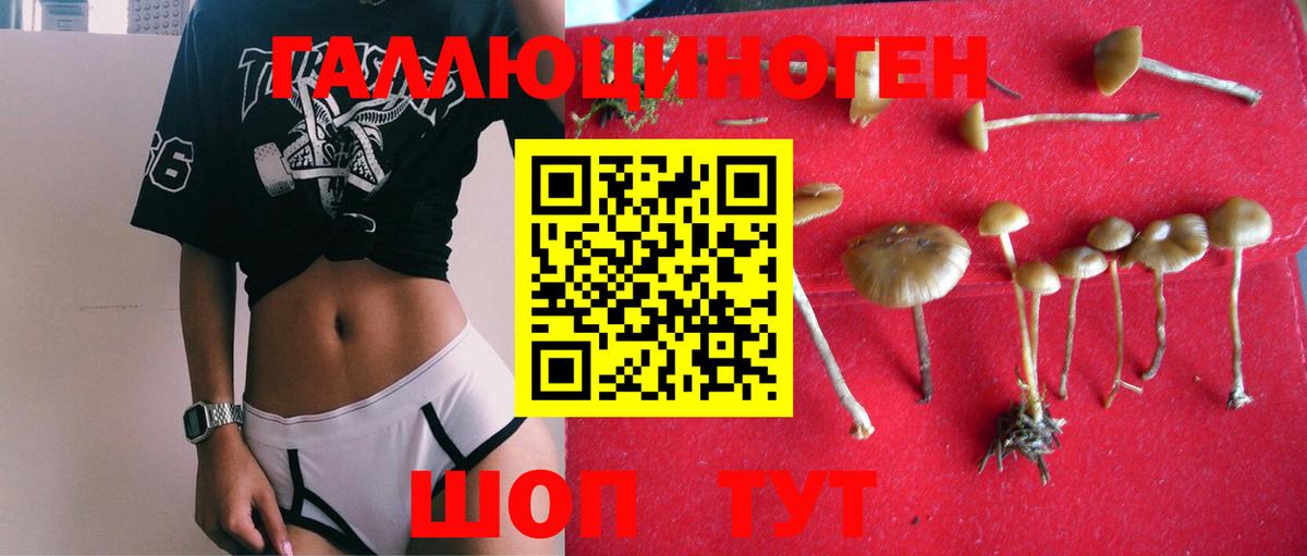 Галлюциногенные грибы Psilocybe  как найти закладки  Отрадный  Вход с VPN 